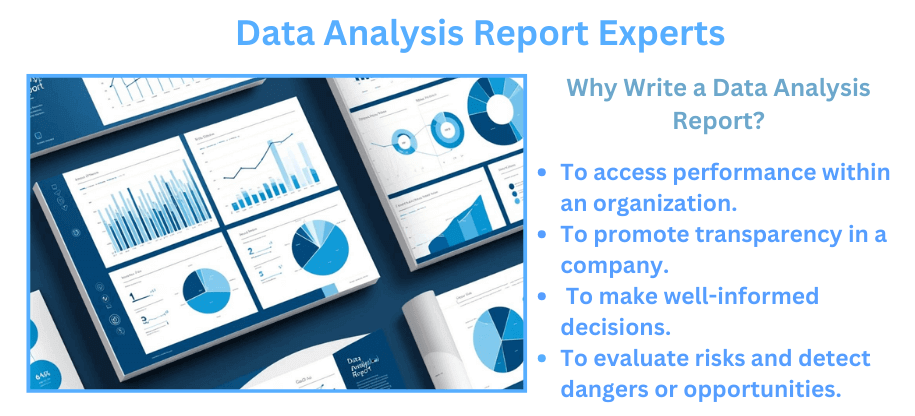 Data analysis report experts