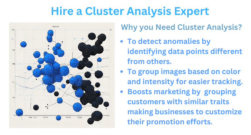 Hire a cluster analysis expert